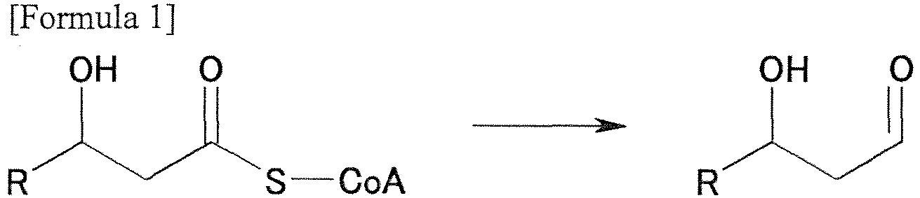 Figure imgb0024