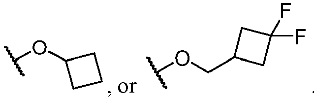 Figure imgb0019