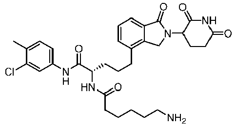 Figure imgb0560