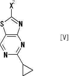 Figure JPOXMLDOC01-appb-C000036