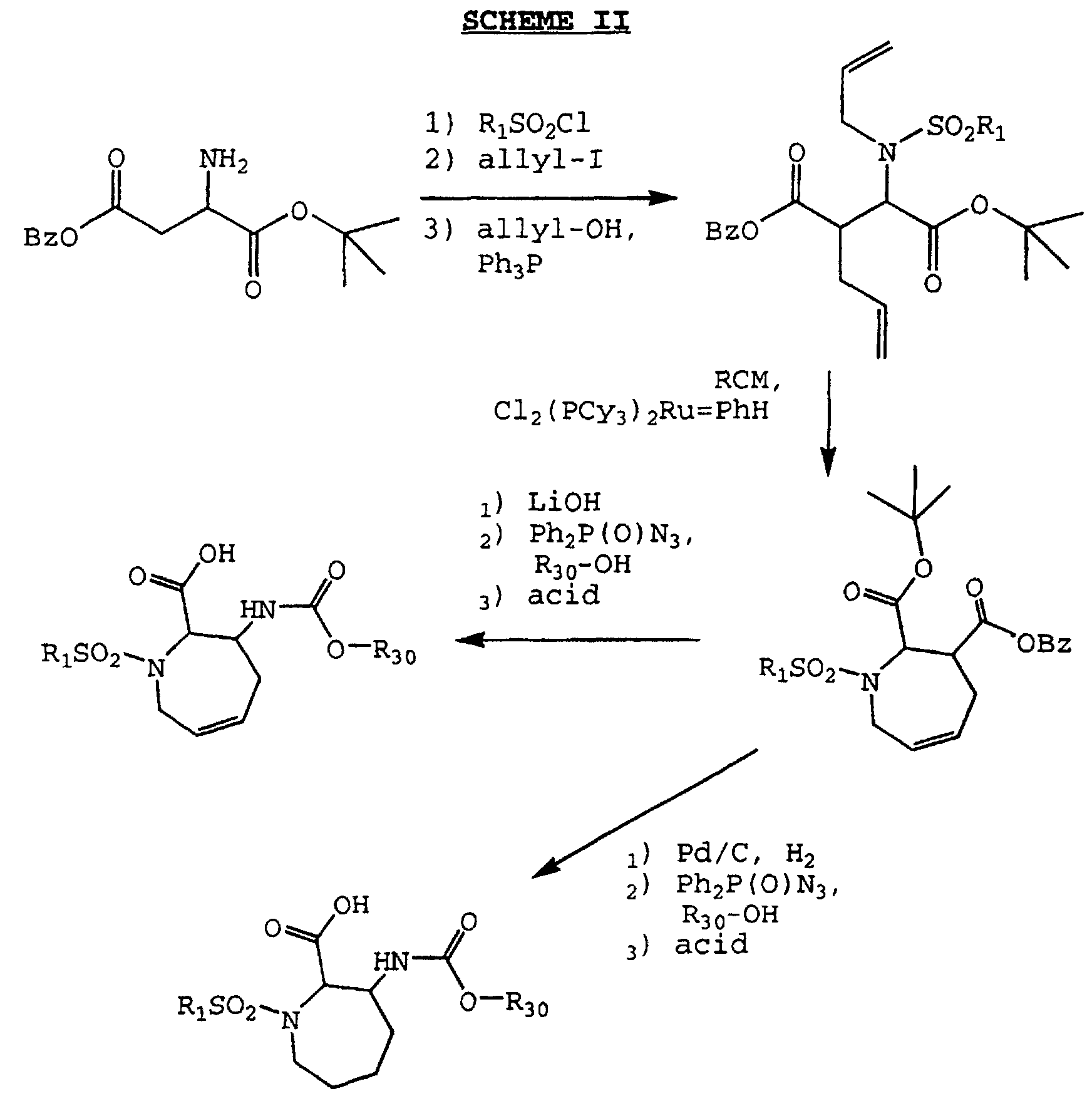 Figure 00460001
