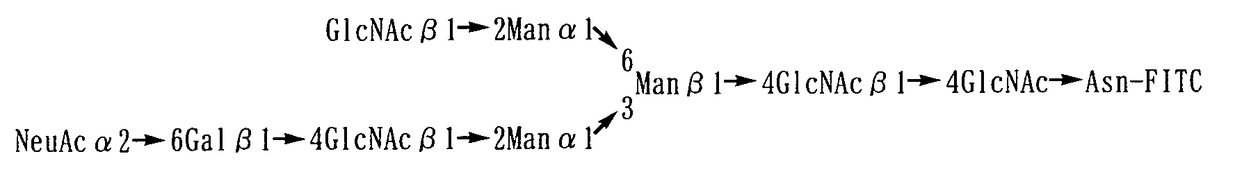 Figure 00910004