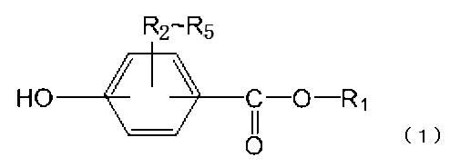 Figure JPOXMLDOC01-appb-C000008