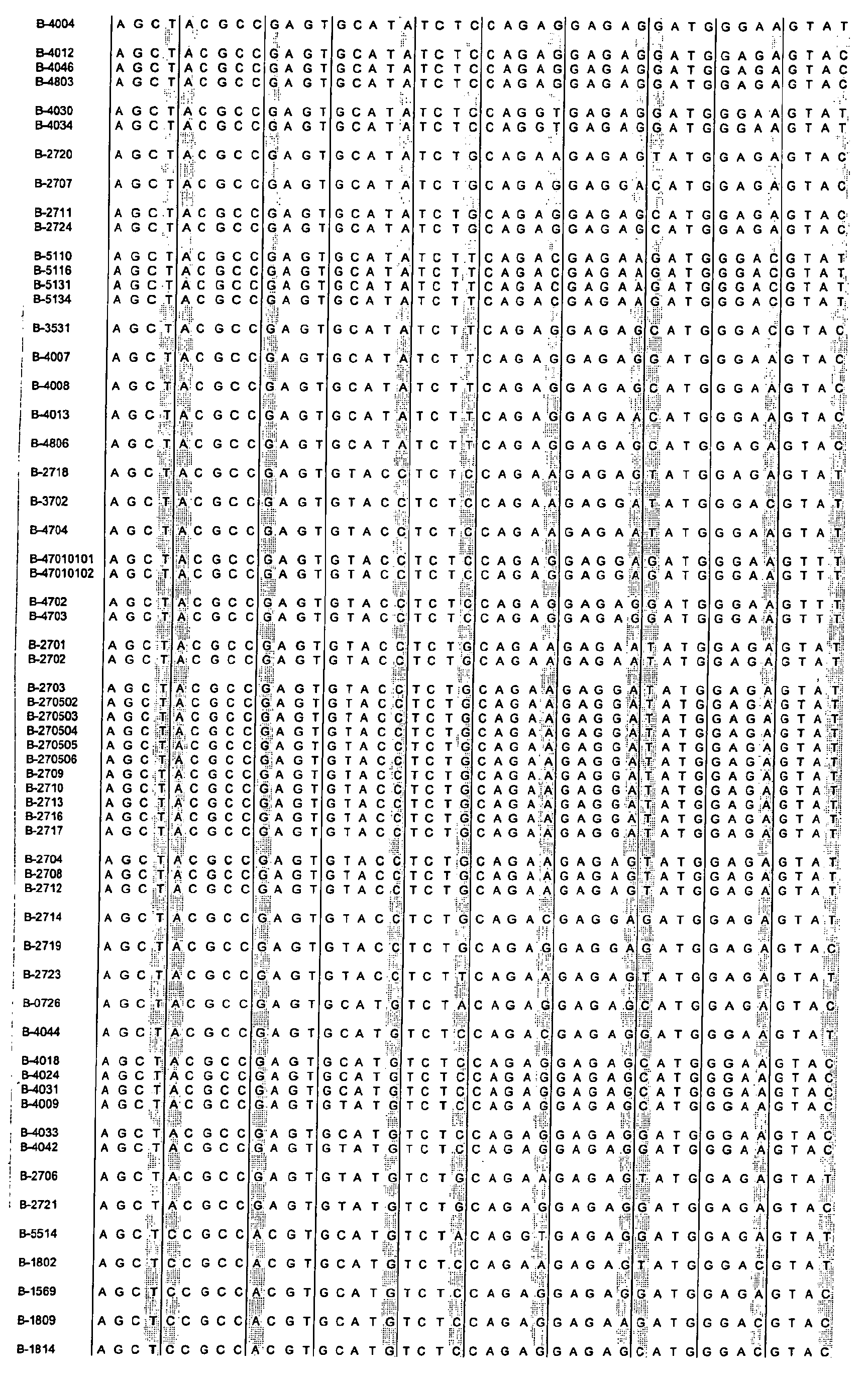 Figure 00340001