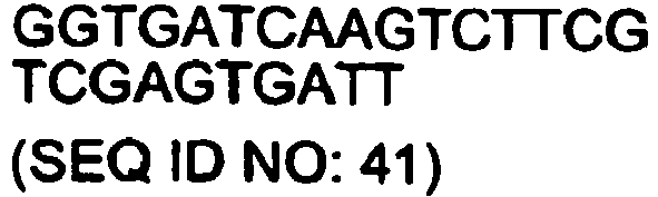 Figure imgb0023