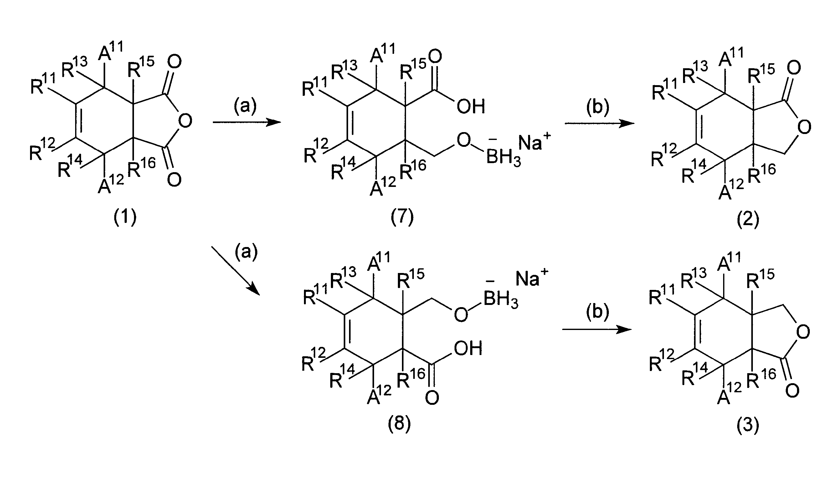 Figure JPOXMLDOC01-appb-C000024