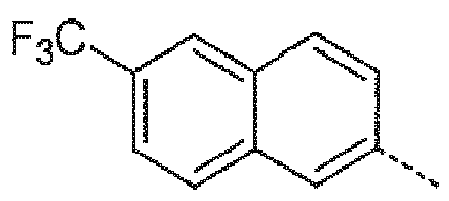 Figure imgb0555