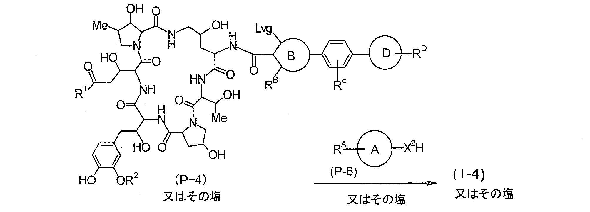 Figure JPOXMLDOC01-appb-C000013
