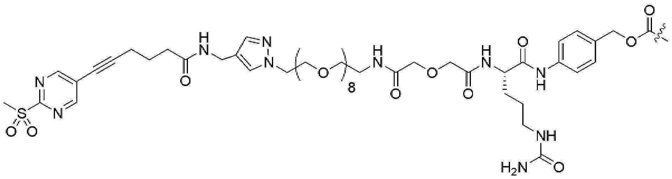 Figure pct00982