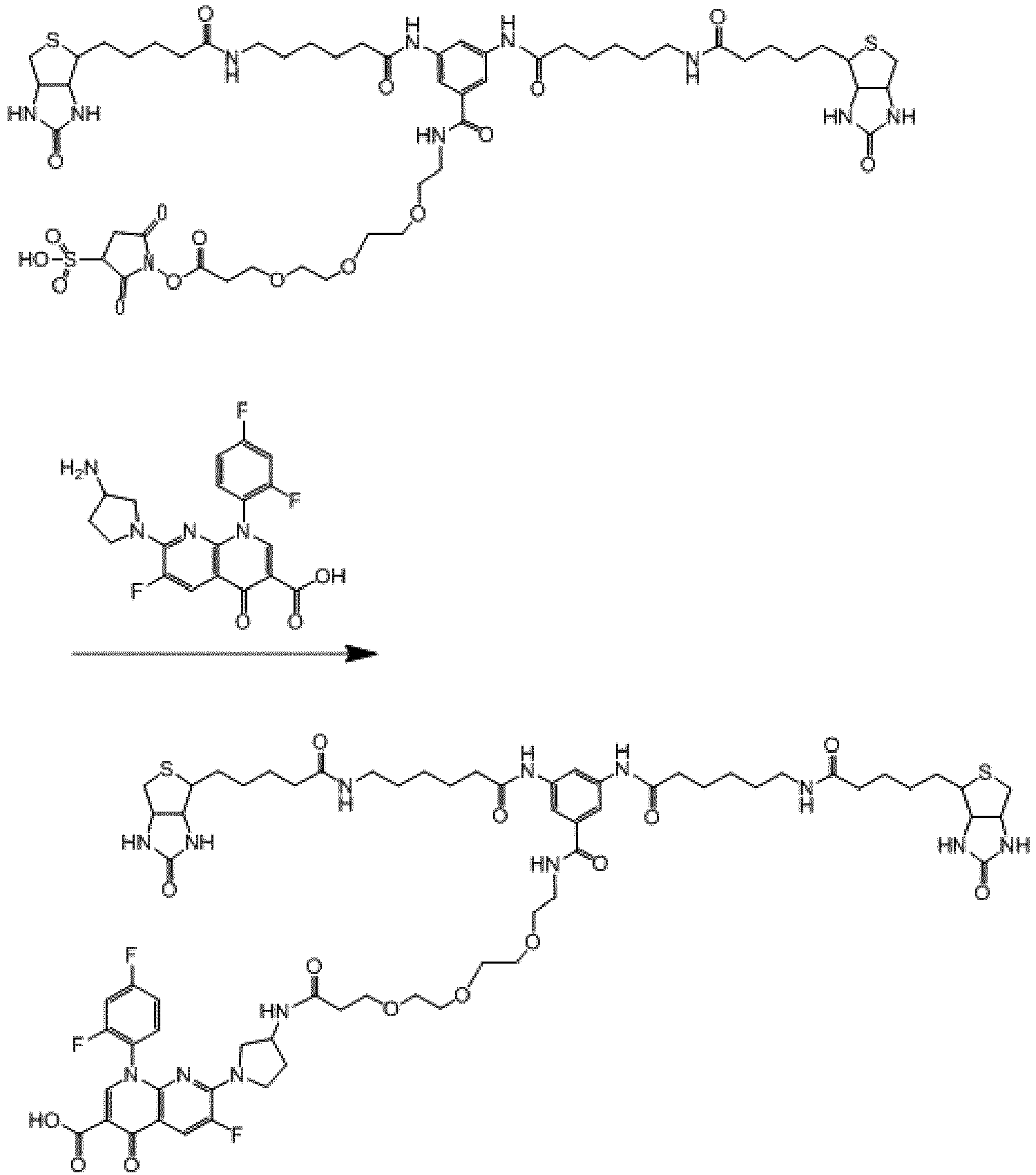 Figure imgb0145