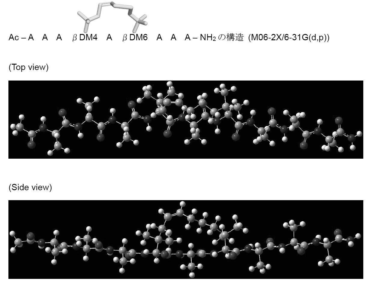 RAMA THERMAL SEQ 2 ROSE KURO Plate 付 RAMA Thermal SEQ2 60