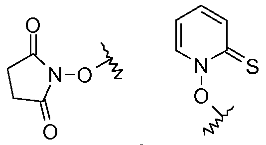 Figure imgf000097_0004