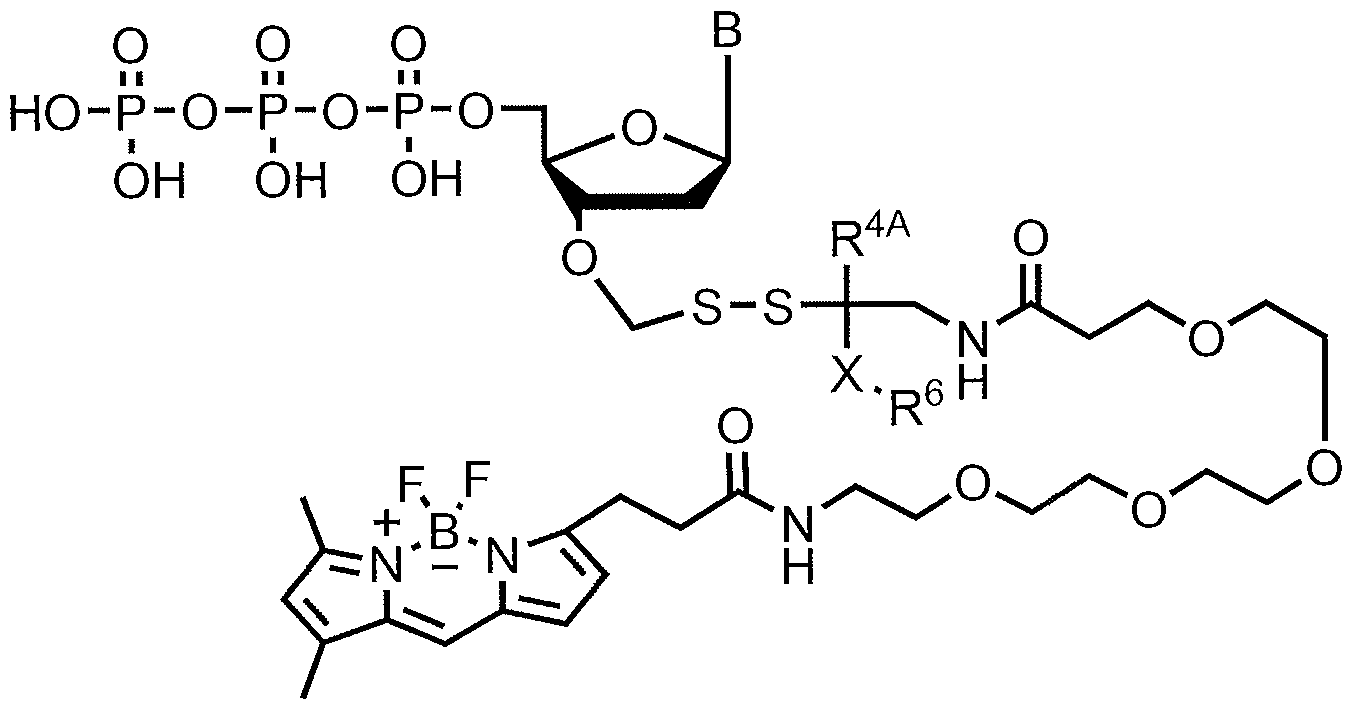 Figure imgf000232_0003