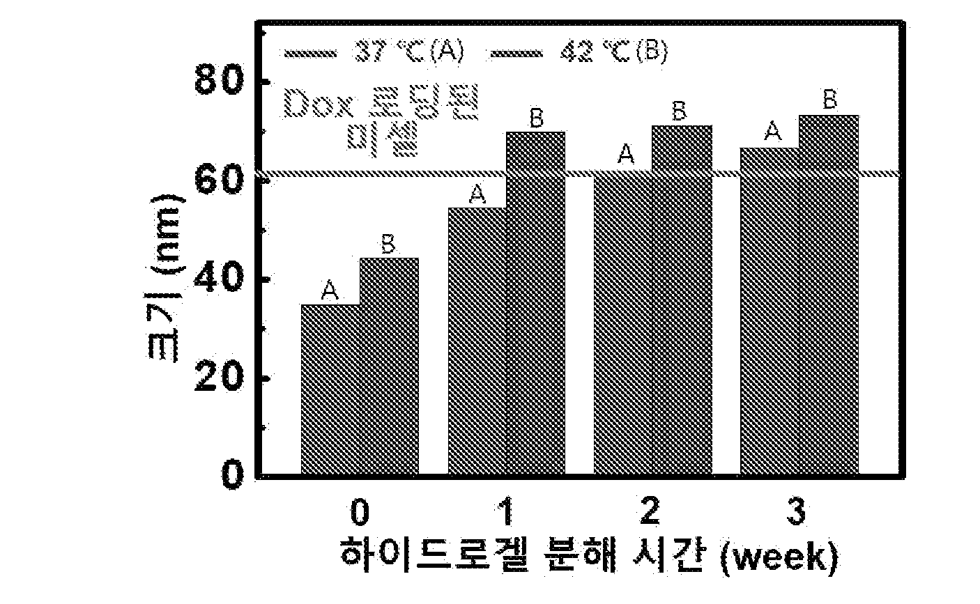 특허 도면 15