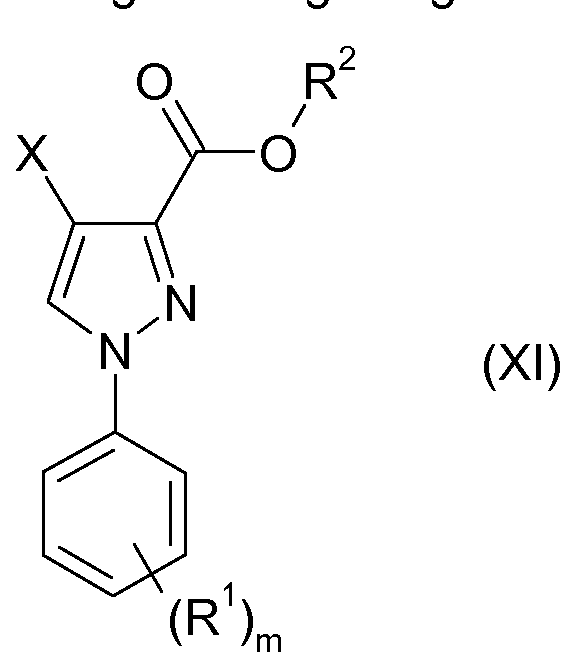 Figure imgf000052_0002