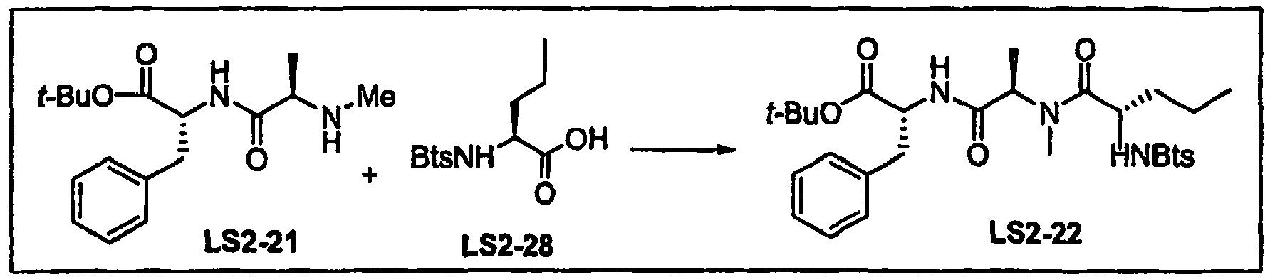Figure imgb0101