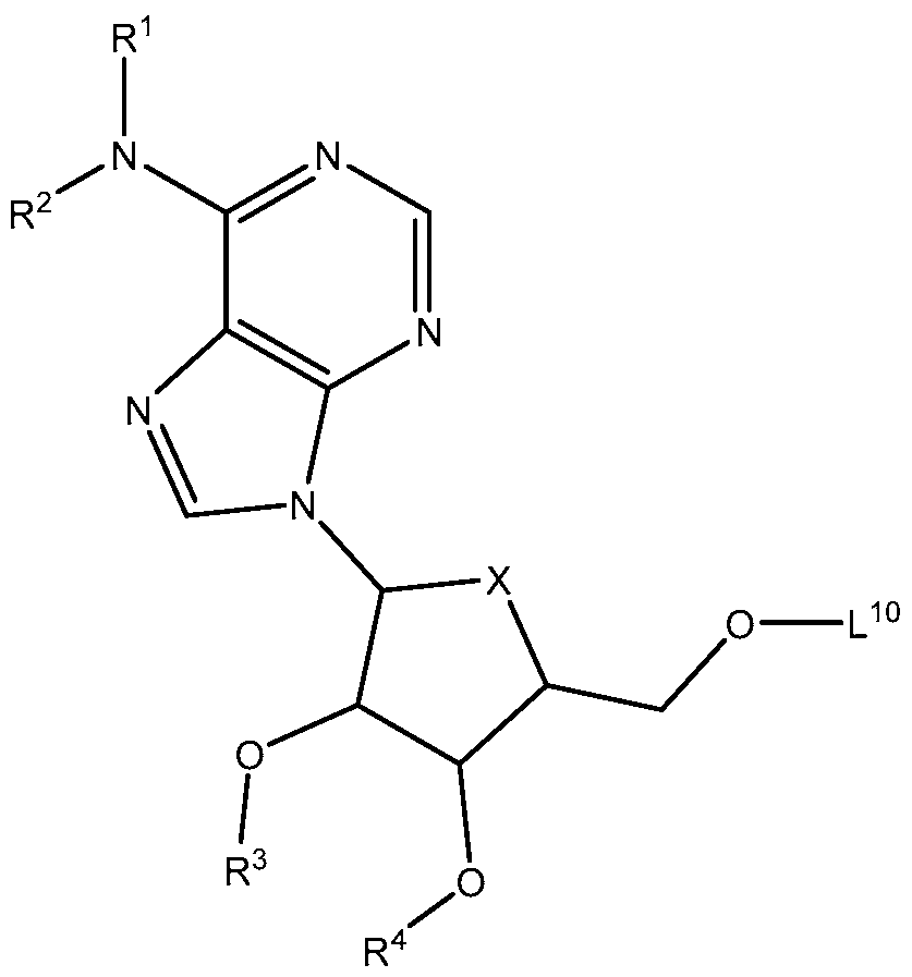Figure imgf000009_0001