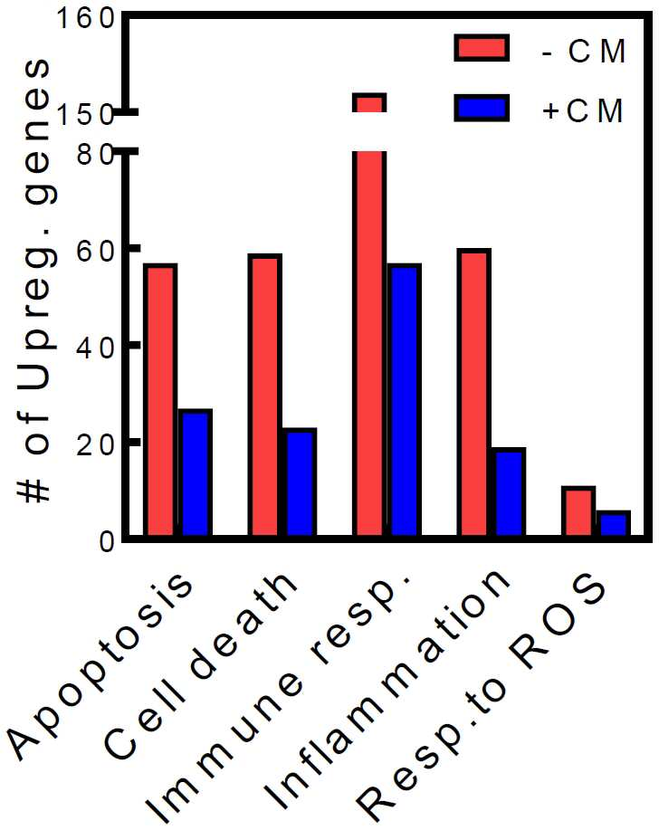 특허 도면 23
