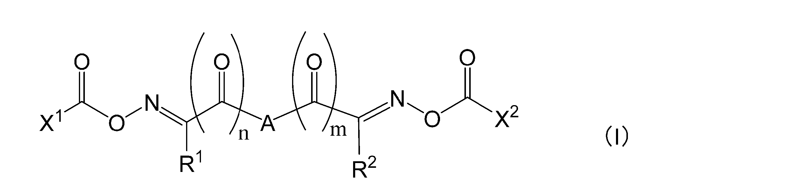 Figure JPOXMLDOC01-appb-C000009