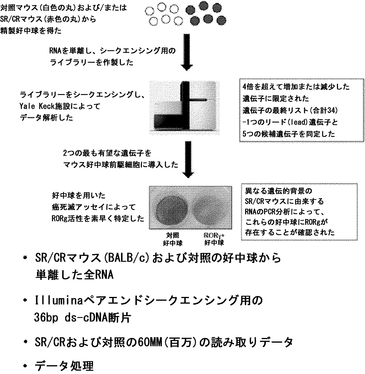 Jp2017532325a 抗癌療法のための自然免疫系の改変 Google Patents