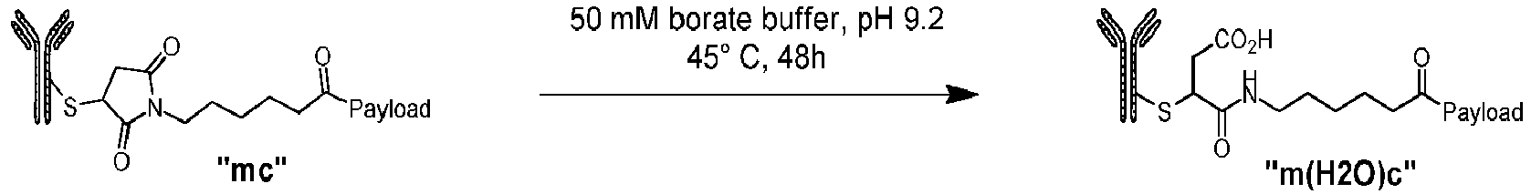 Figure imgb0197
