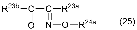 Figure JPOXMLDOC01-appb-C000077