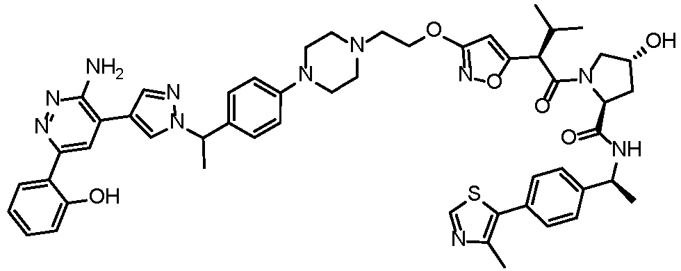 Figure imgb2079