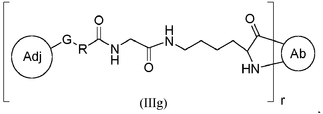 Figure imgb0049