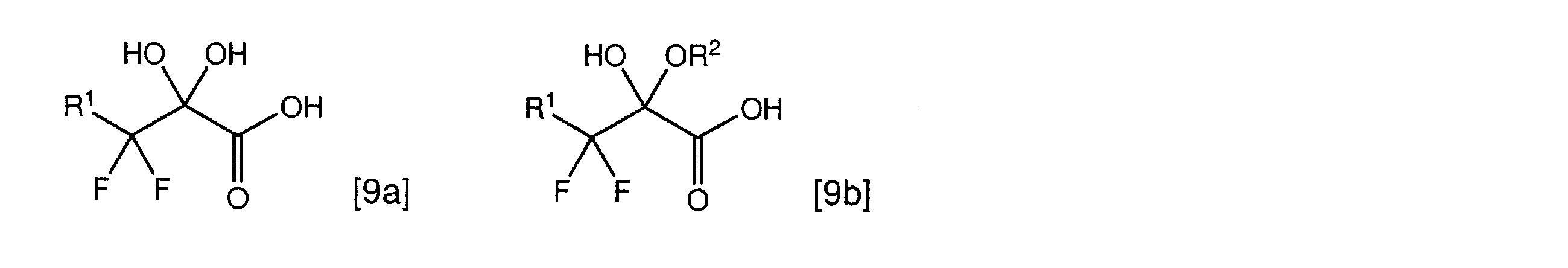 Figure JPOXMLDOC01-appb-C000024
