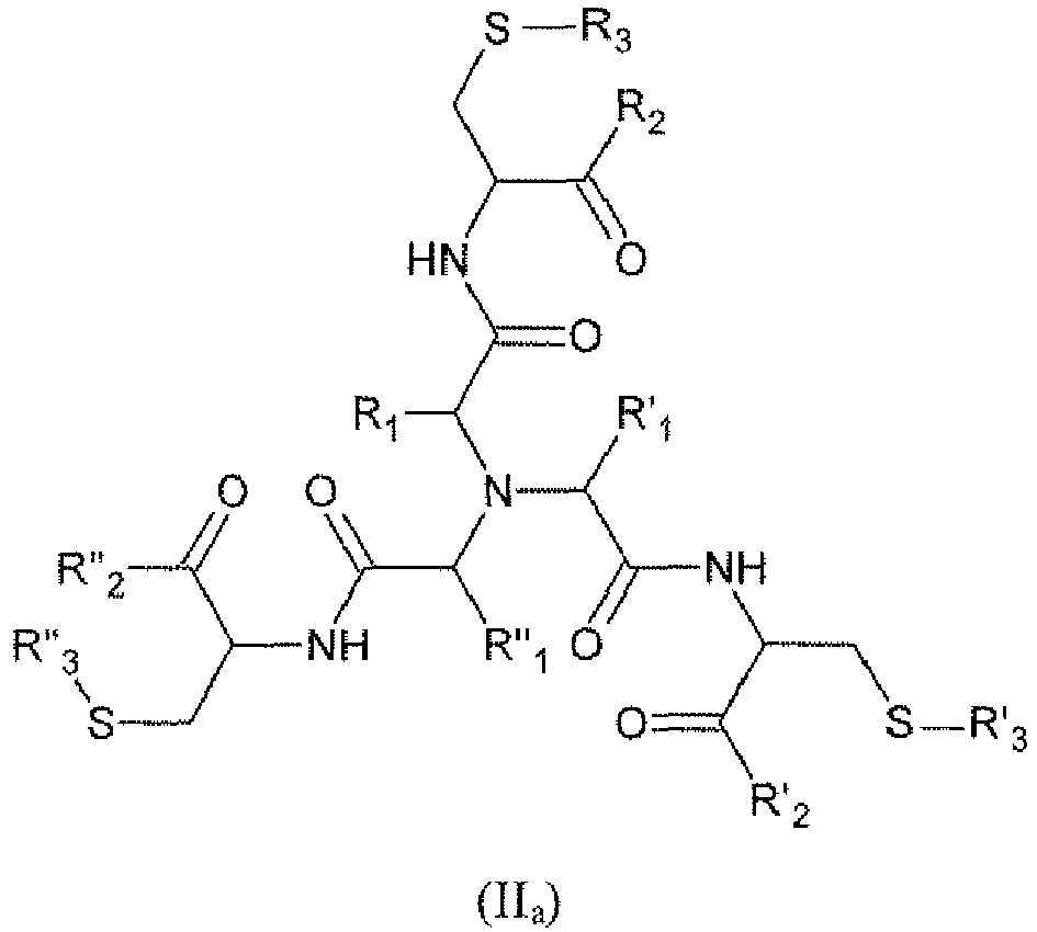Figure imgb0013