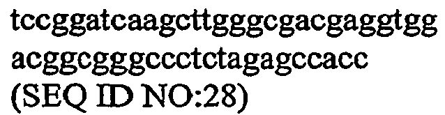 Figure imgb0024
