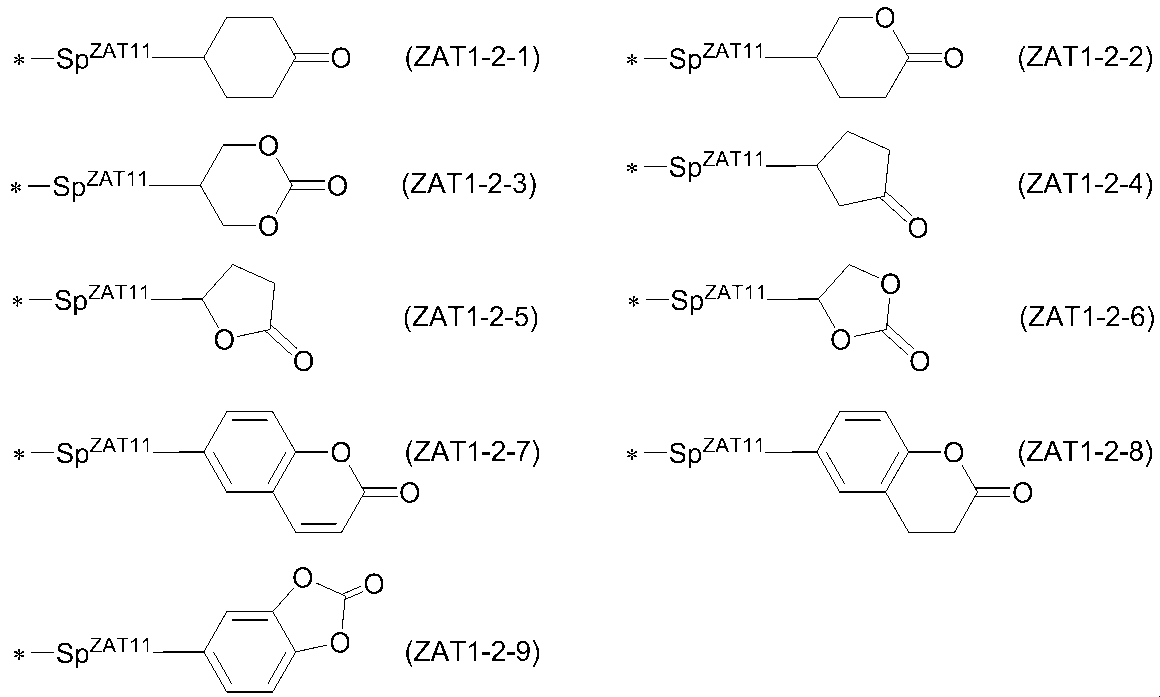 Figure JPOXMLDOC01-appb-C000020