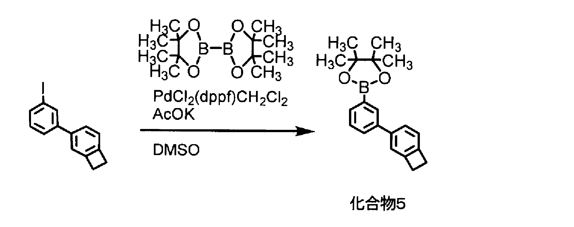 Figure JPOXMLDOC01-appb-C000031