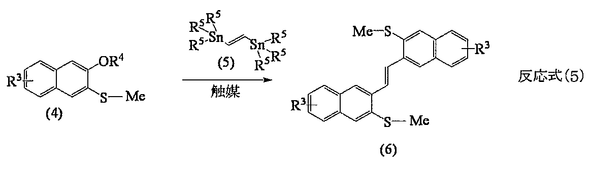 Figure JPOXMLDOC01-appb-C000027