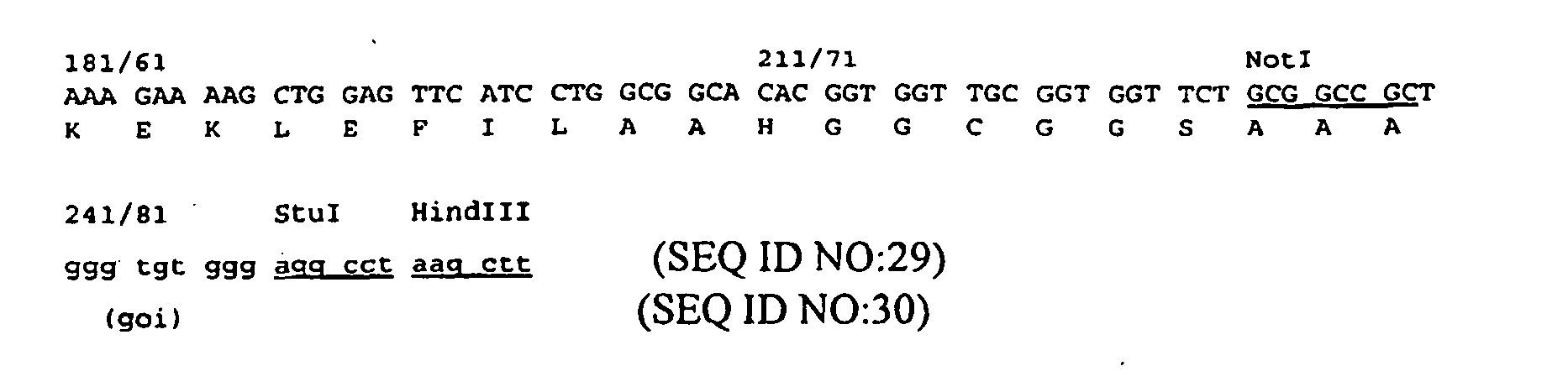 Figure imgb0017
