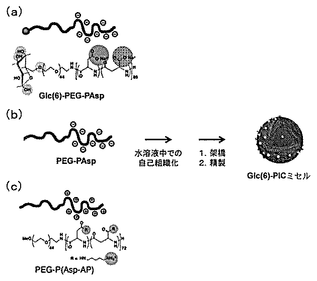Jpwoa1 温度感受性重合体を用いた核酸の送達用ミセル組成物およびその製造方法 Google Patents