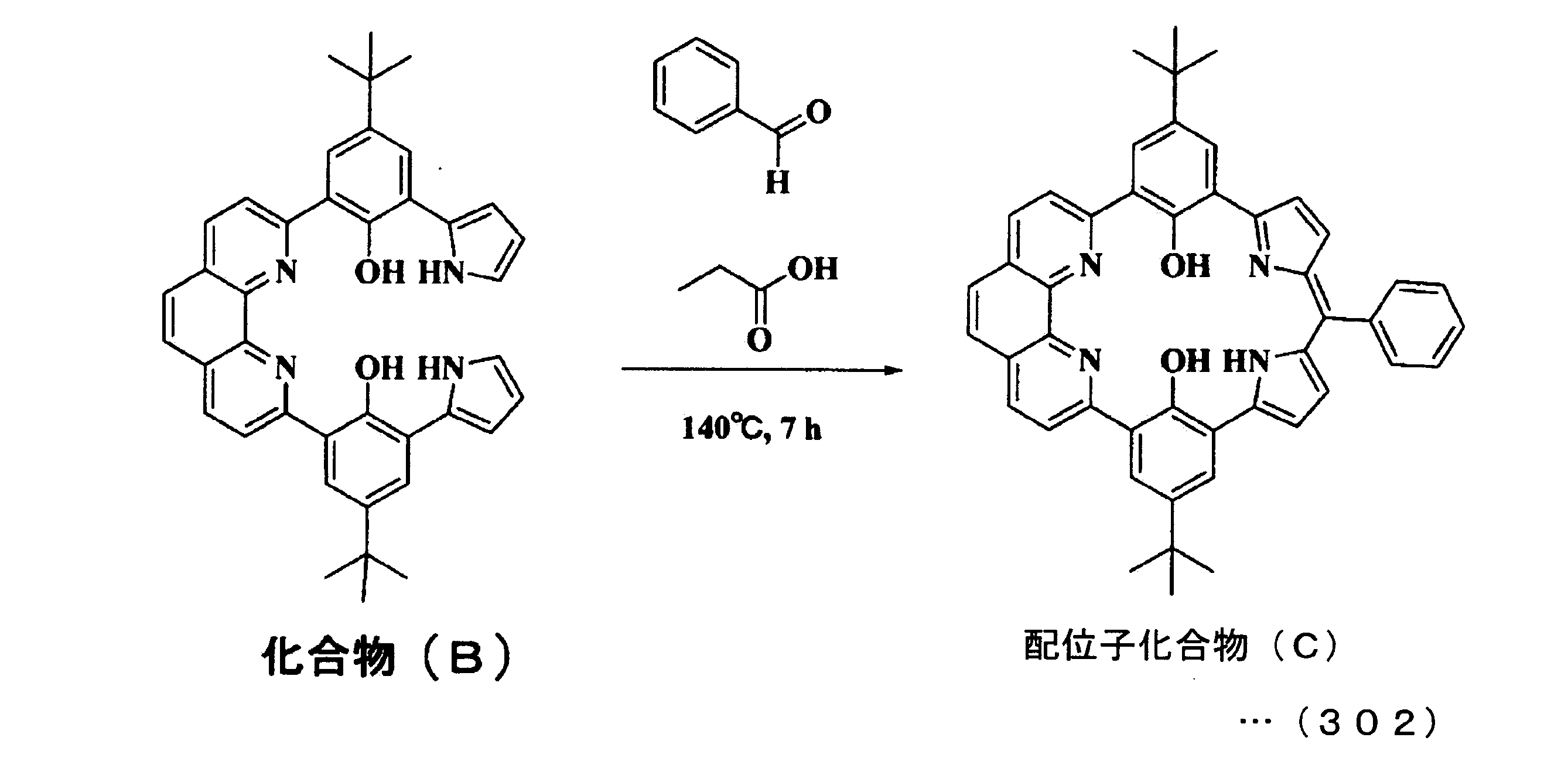 Figure JPOXMLDOC01-appb-C000113
