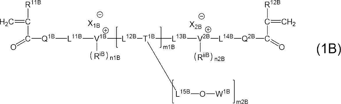 Figure JPOXMLDOC01-appb-C000024