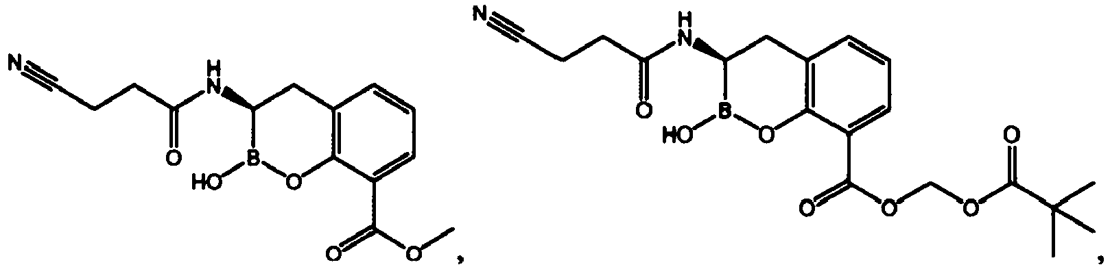 Figure imgb0100
