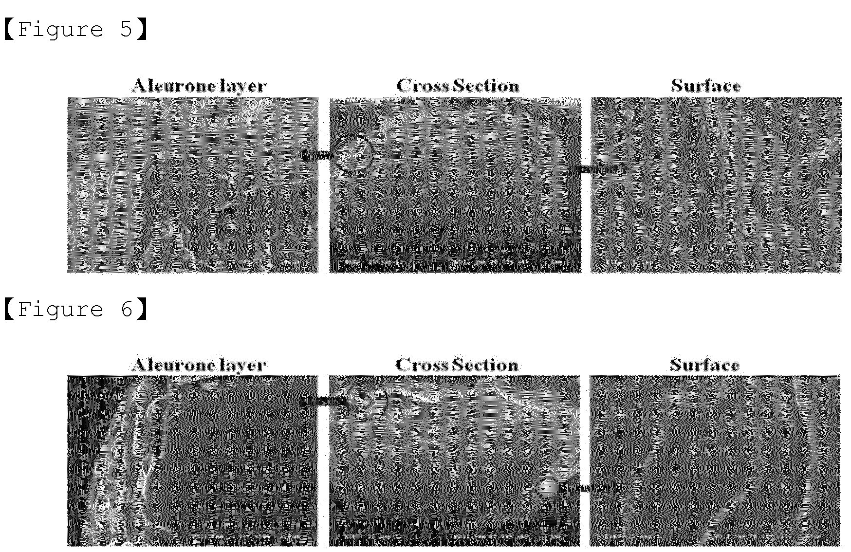 Bbw Drawn Nl – Telegraph