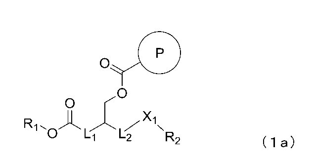 Figure JPOXMLDOC01-appb-C000016
