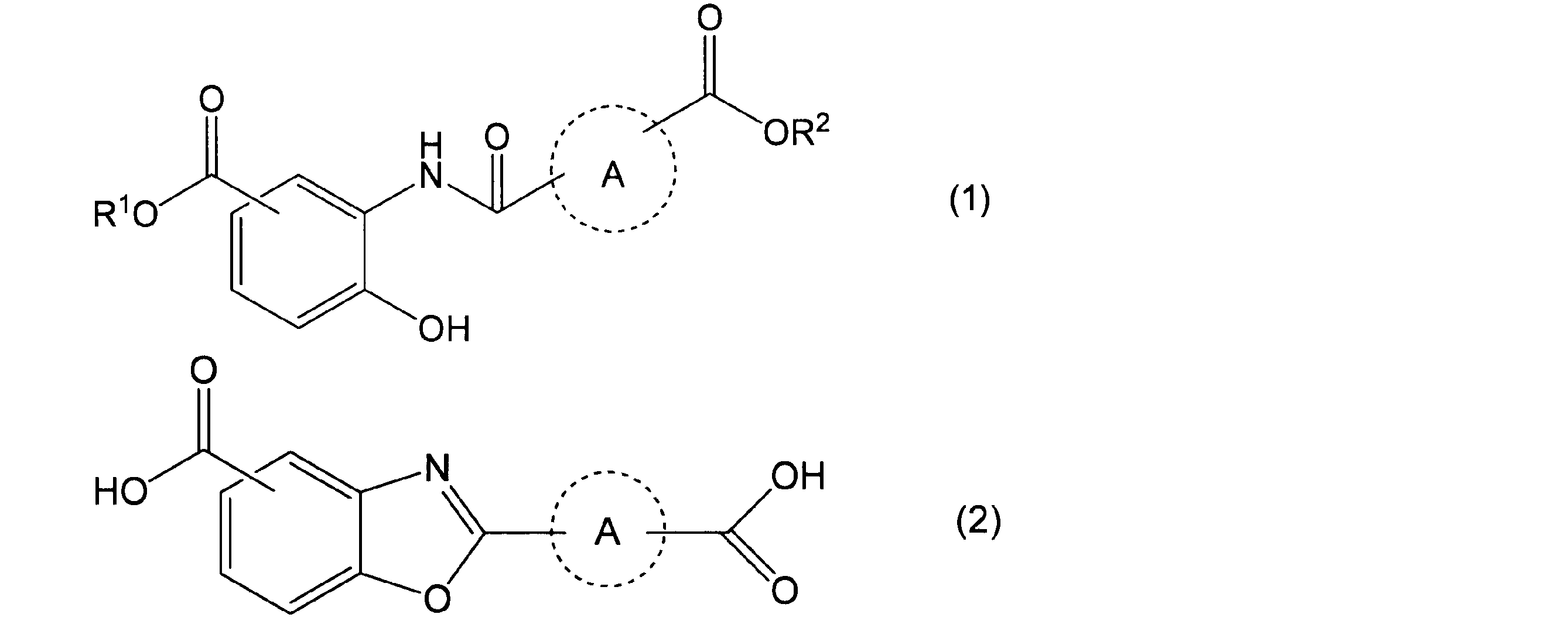 Figure JPOXMLDOC01-appb-C000016