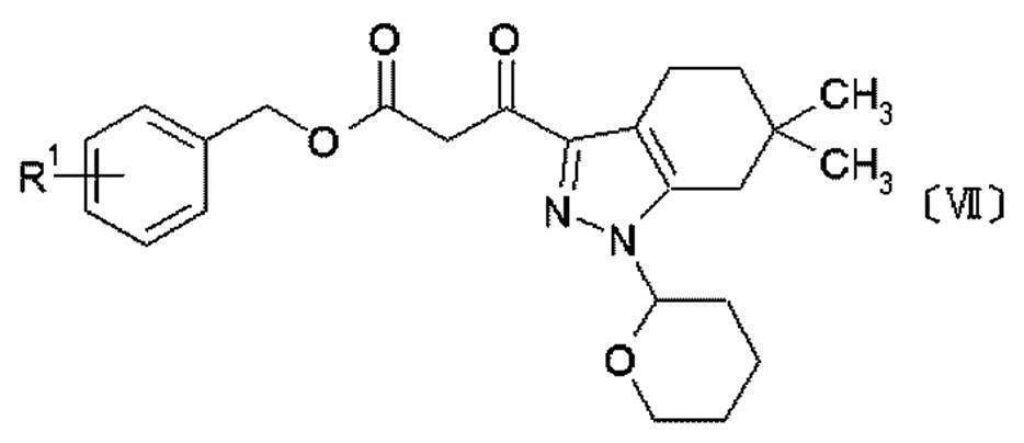 Figure JPOXMLDOC01-appb-C000056