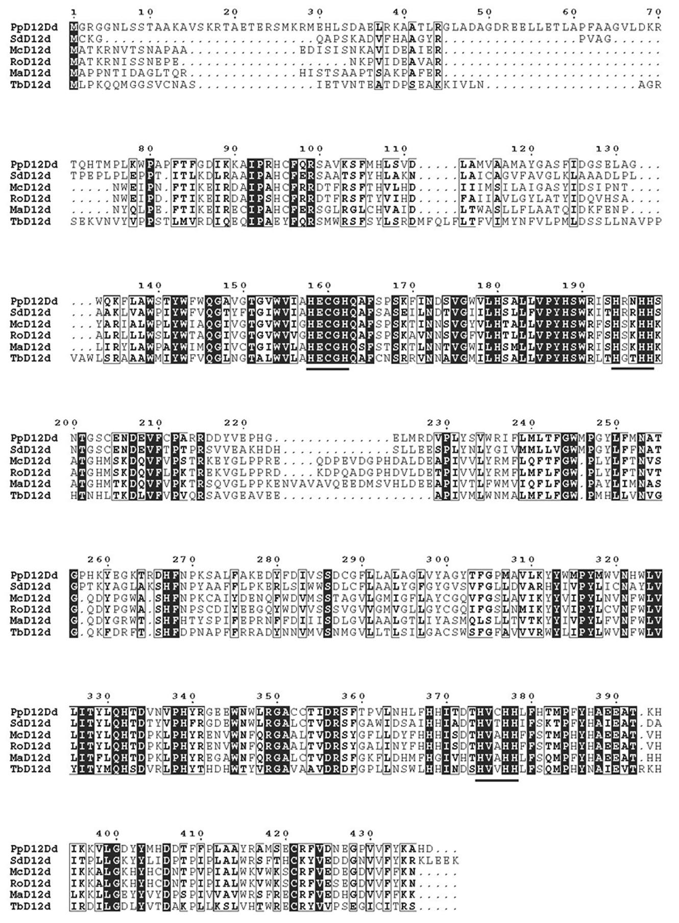 Wo2011037207a1 ストラメノパイルの形質転換方法 Google Patents