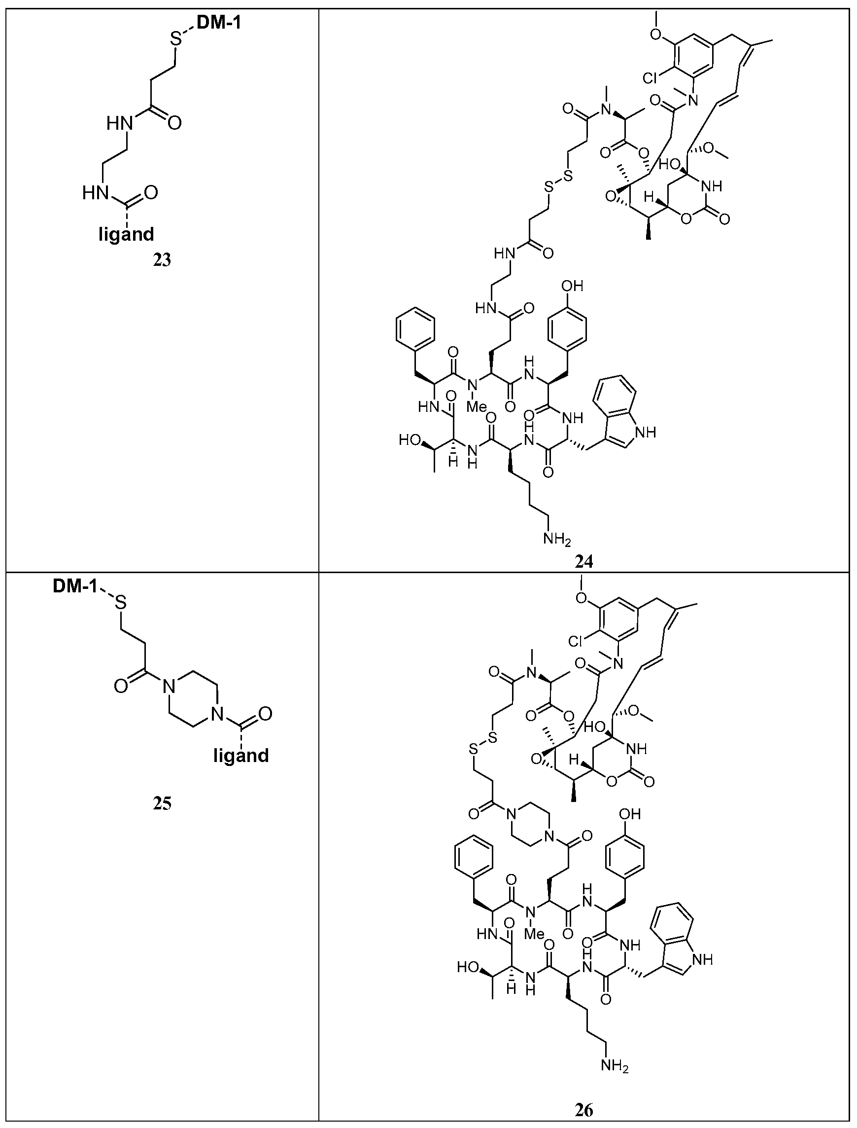 Figure imgf000053_0001
