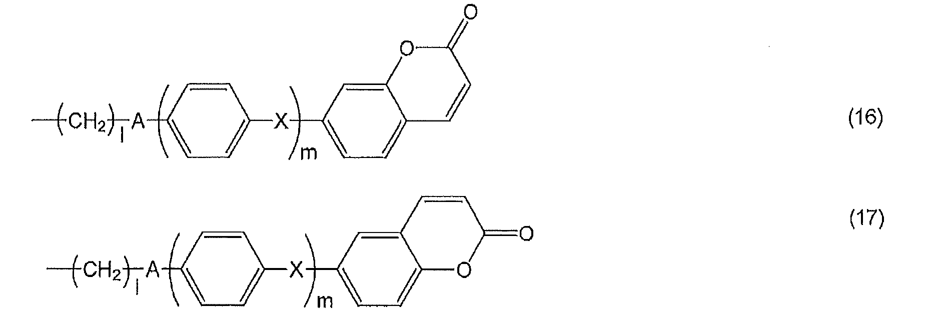 Figure JPOXMLDOC01-appb-C000013