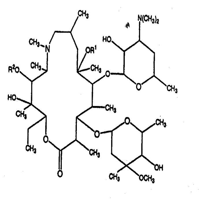 KR20150130319A - Concentrated aqueous azalide formulations - Google Patents