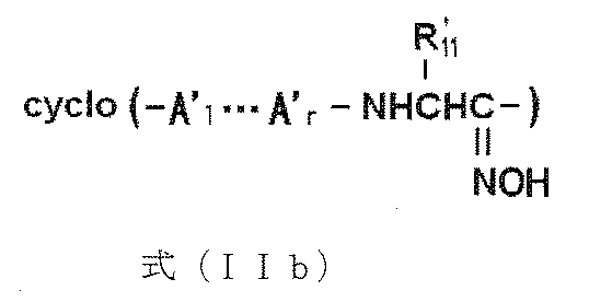 Figure JPOXMLDOC01-appb-C000026