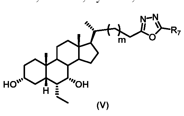 Figure imgf000011_0002