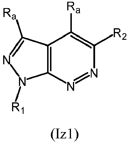 Figure imgb0058